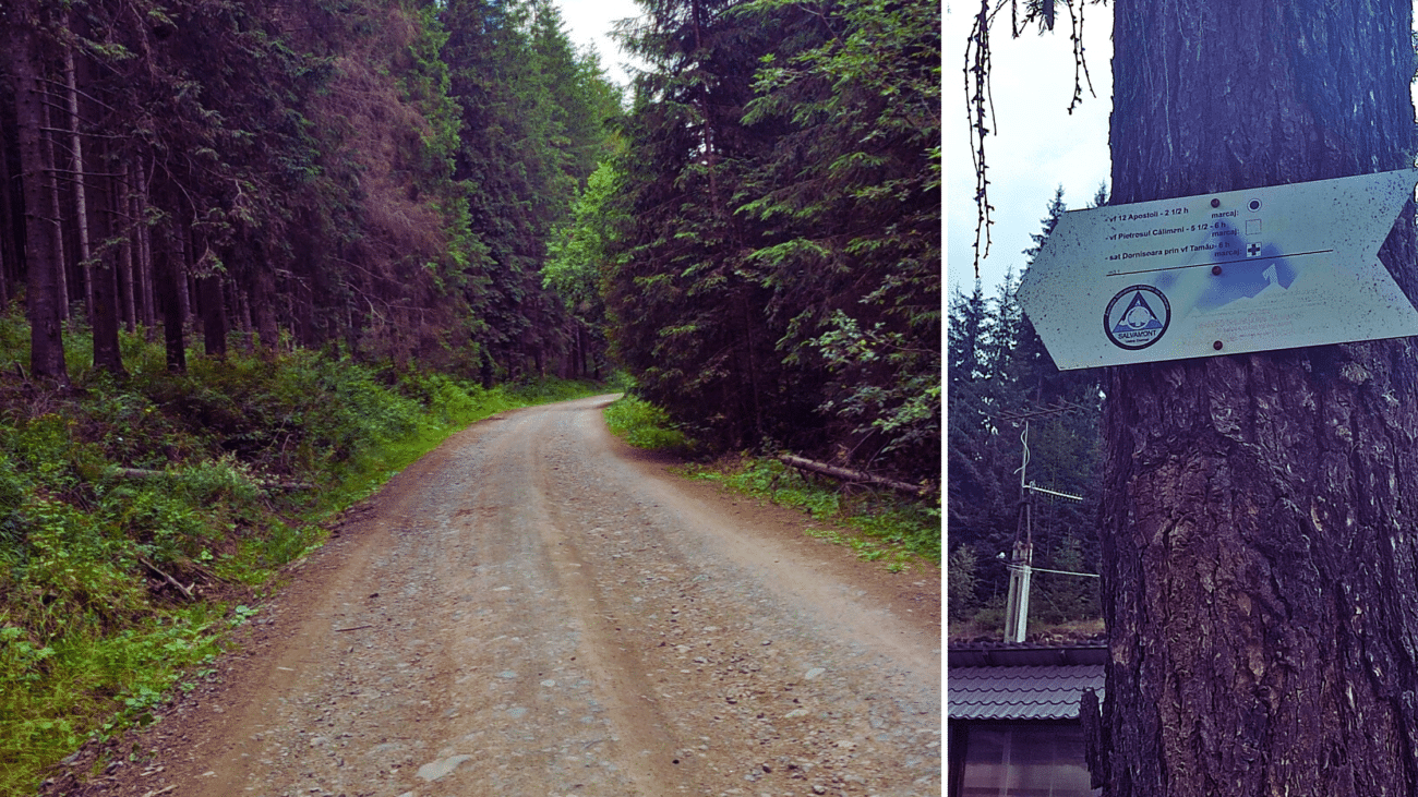 audio ghid parcul national calimani tara dornelor amro 3