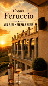 sonorizare ambientala crama feruccio dealu mare drumul vinului 1